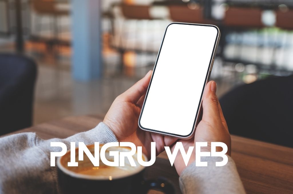 Pingru WEB - 2024