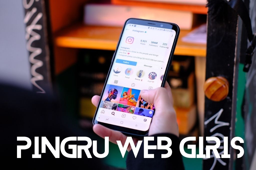 Pingru Web Nasıl Kullanılır - 2024