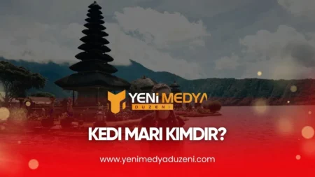 Kedi Mari Kimdir – 2025 - YMD